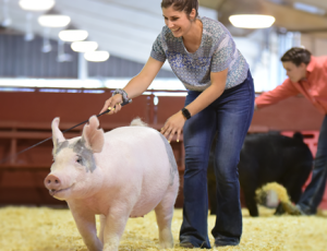 2023 Manitowoc Market Animal Scholarship Information