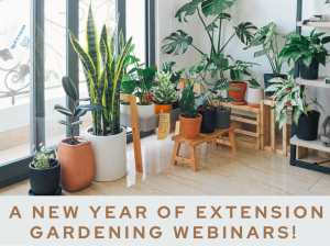 Get Ready to Garden webinar series begins weekly Feb 8th!