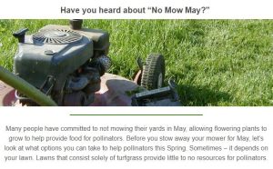 Have you heard about No Mow May?