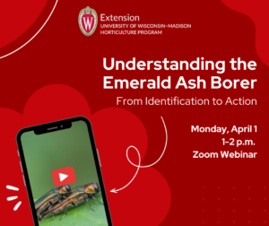 Understanding the Emerald Ash Borer